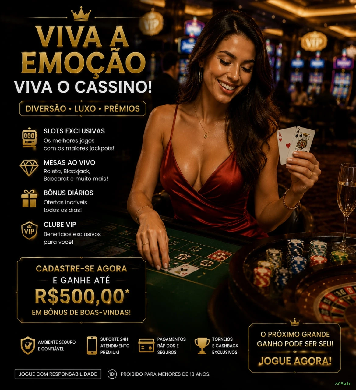 Formulário registro 809win